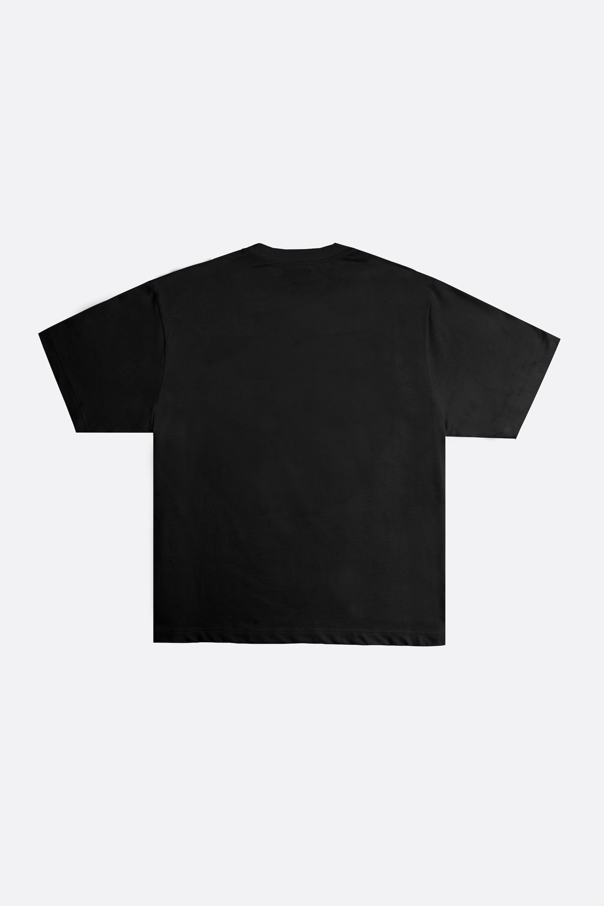Destroy the Patriarchy Not the Planet S/S Tee (Black)