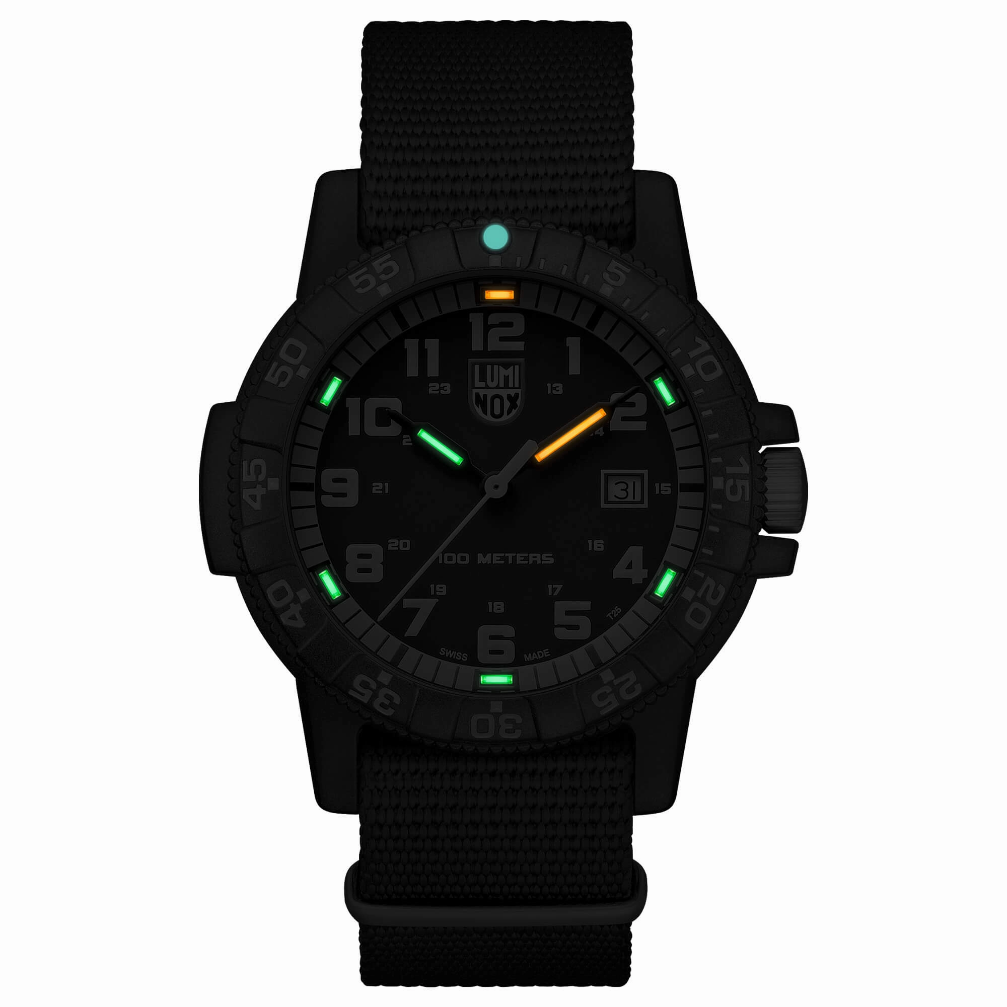 Luminox Men's Quartz Watch - Sea Turtle Giant 0320 Series Black Nylon Strap | 0333 Set