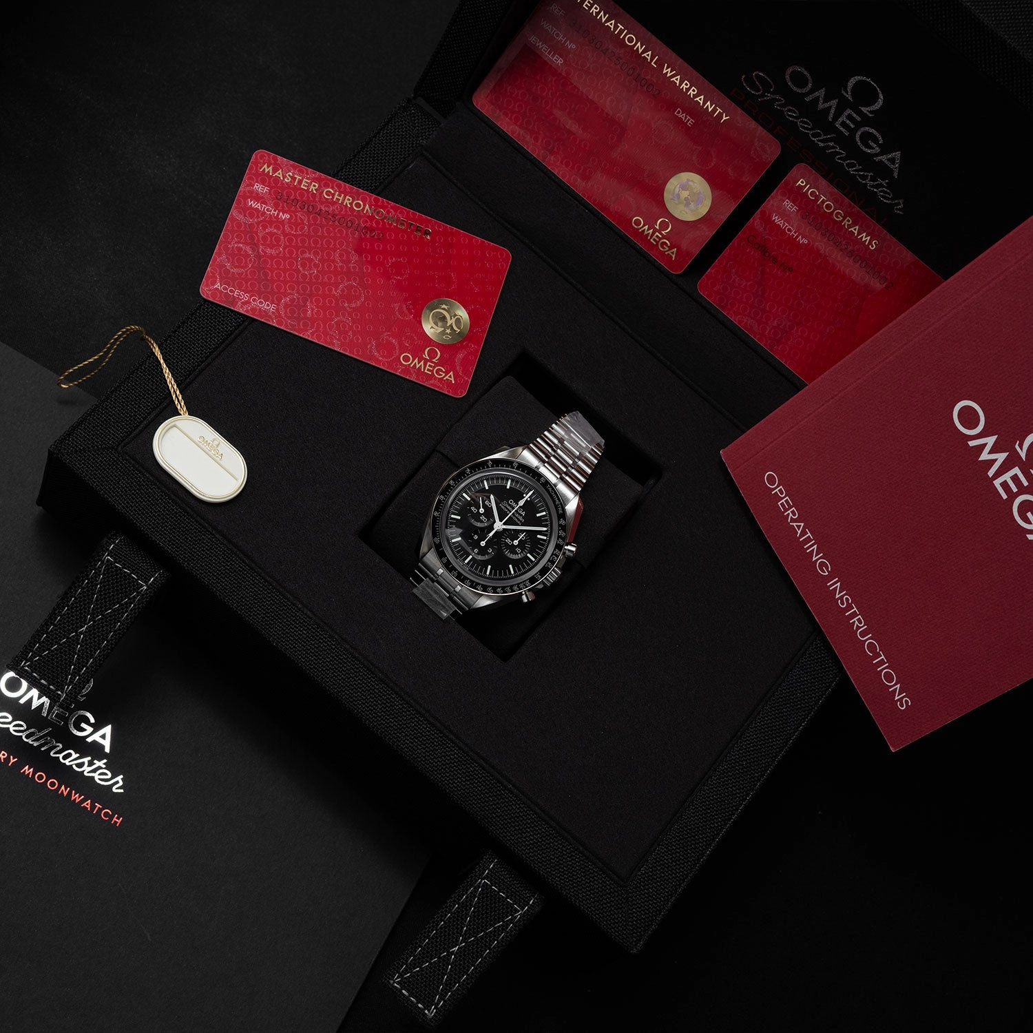 Speedmaster Professional Moonwatch 2024 - 310.30.42.50.01.002