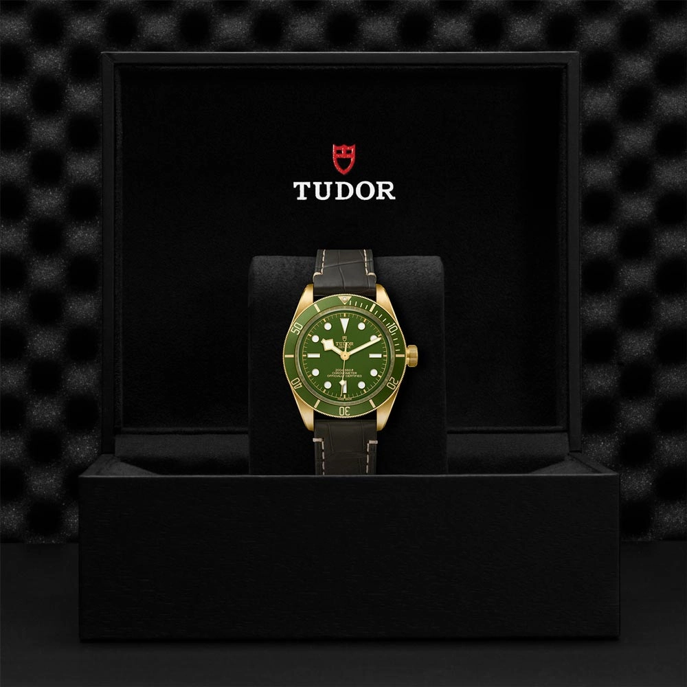 TUDOR Black Bay 58 18ct Gold 39mm Green Dial Watch M79018V-0001