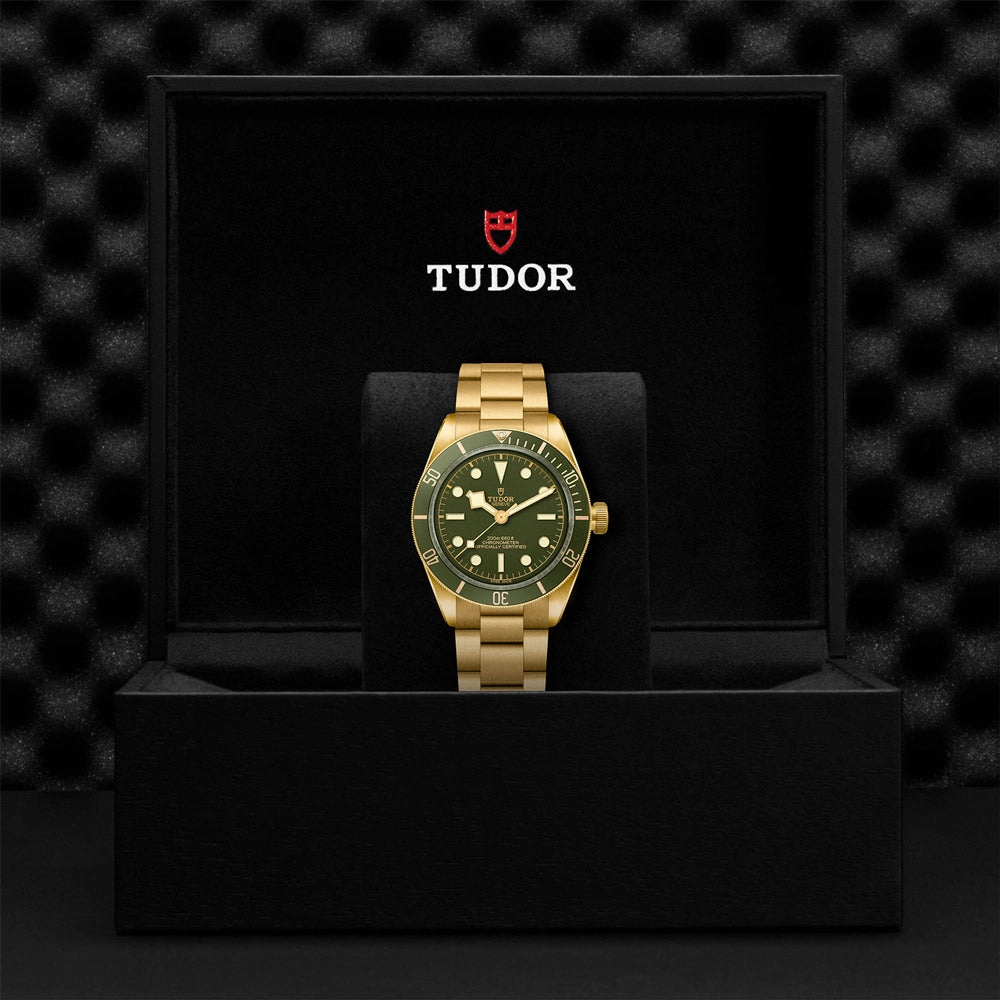 TUDOR Black Bay 58 18ct Gold 39mm Green Dial Watch M79018V-0006