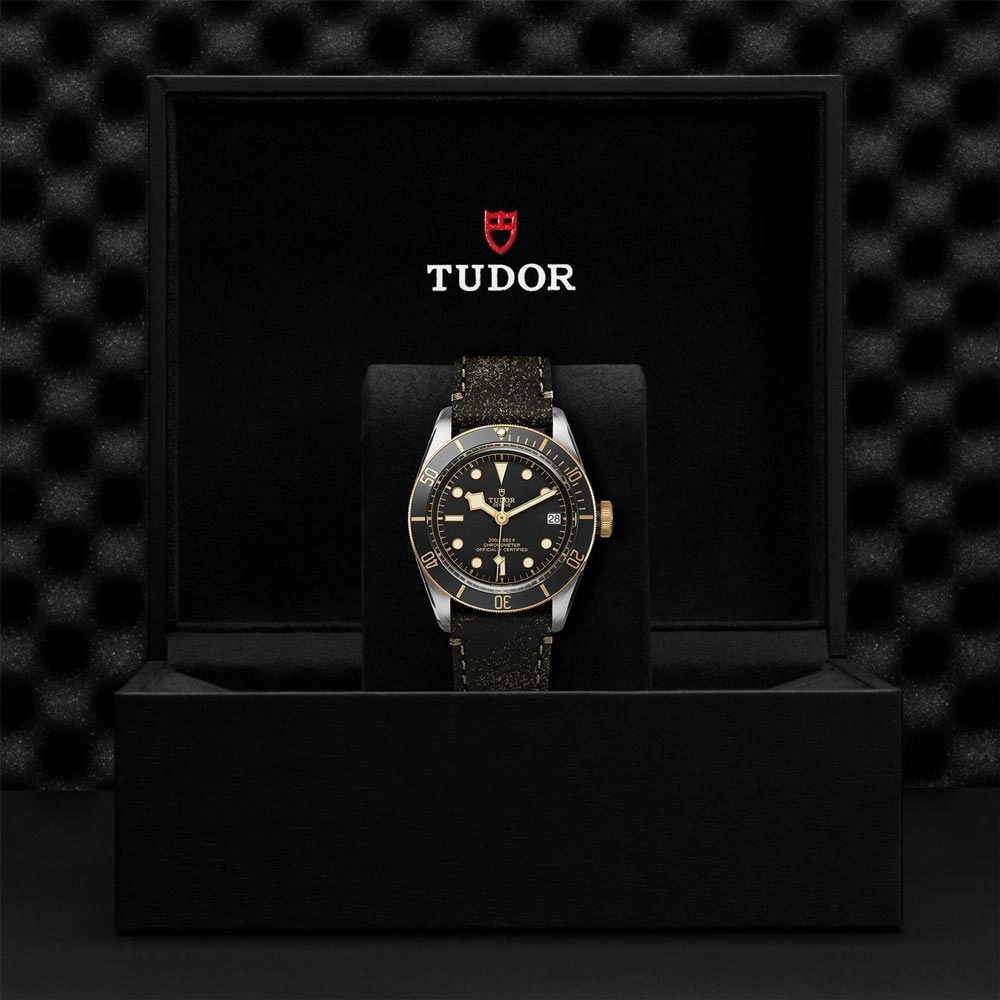 TUDOR Black Bay S&G 41mm Black Dial Steel & Gold Gents Watch M79733N-0007
