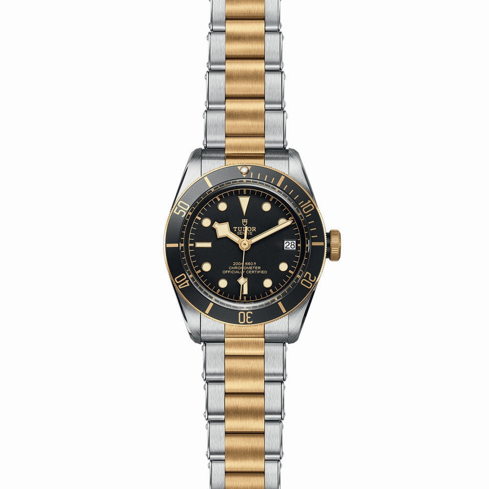TUDOR Black Bay S&G 41mm Black Dial Steel & Gold Gents Watch M79733N-0008