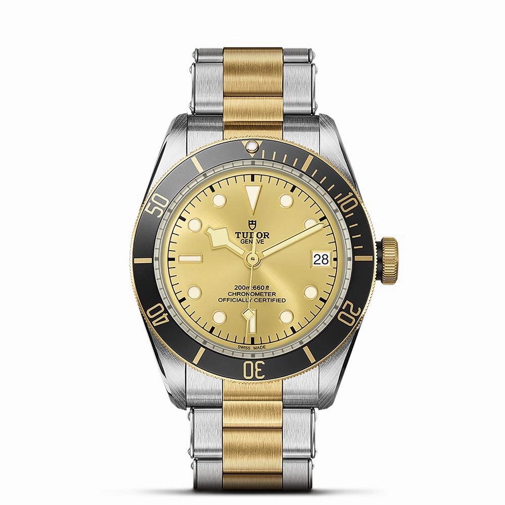 TUDOR Black Bay S&G 41mm Steel & Gold Gents Watch M79733N-0004