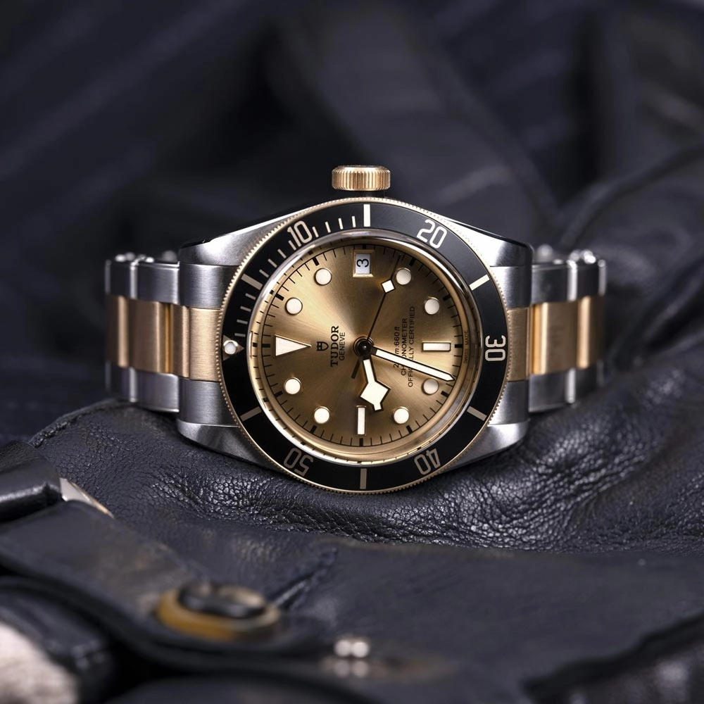 TUDOR Black Bay S&G 41mm Steel & Gold Gents Watch M79733N-0004