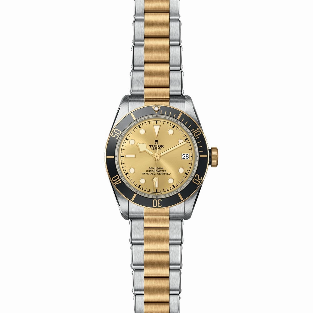 TUDOR Black Bay S&G 41mm Steel & Gold Gents Watch M79733N-0004