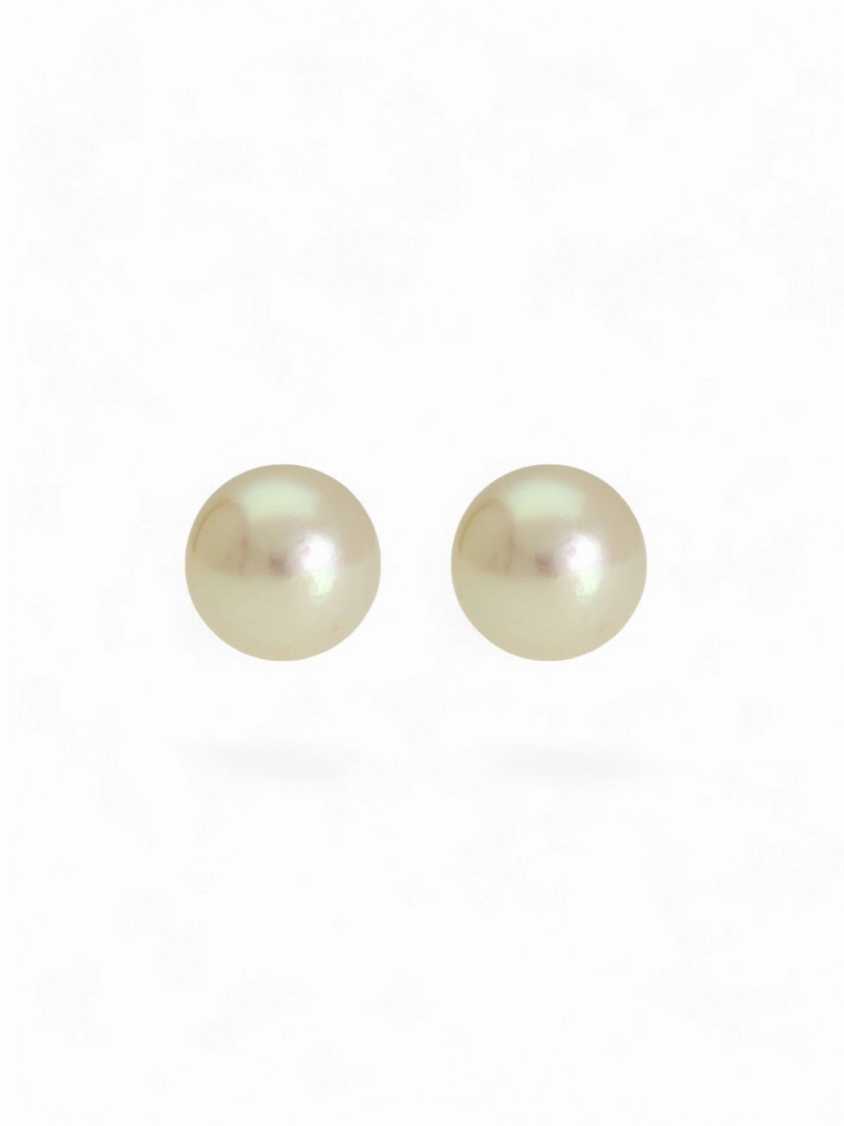 White Cultured Pearl Stud Earrings 5.5mm in 9ct Yellow Gold