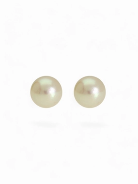 White Cultured Pearl Stud Earrings 5.5mm in 9ct Yellow Gold